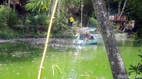 Air di danau ini berasal dari enam mata air, yakni Sumber Adem, Sumber Towo, Sumber Gatel, Sumber Maron, Sumber Krecek, dan Sumber Seger. Keenam mata air ini tetap terjaga seiring dengan dilestarikannya hutan bambu Boon Pring. (Hilda Meilisa/detikcom)