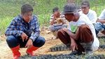 Mengintip Pertanian Terpadu di Tengah Hutan