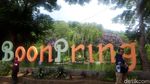 Foto: Hutan Bambu Instagramable dari Malang