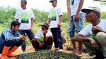 Mengintip Pertanian Terpadu di Tengah Hutan