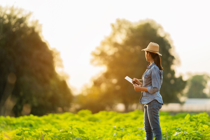Foto: iStock Foto: iStock