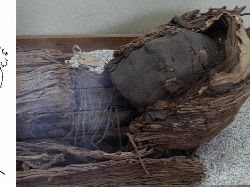 Seram, Penampakan Mumi Punya Tato