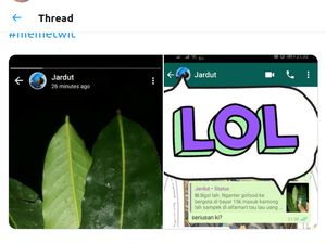 Tweet Horor Abang Ojol Dapat Uang Berubah Jadi Daun