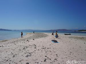 Main-main ke Taka Makassar, Destinasi Unik di Labuan Bajo