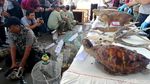 Buaya Hingga Trenggiling Diamankan Polisi di Pasuruan