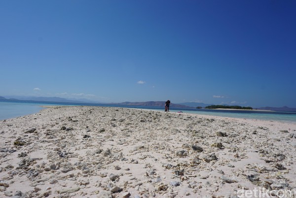 Kapal besar dilarang mendekati ke pulau pasir karena bisa merusak terumbu karang yang banyak terdapat di sekitar Taka Makassar. Selain itu juga benturan dengan terumbu karang yang keras bisa merusak mesin kapal (Foto: Ahmad Masaul Khoiri/detikcom)