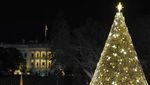 Terpukau Megahnya Pohon Natal Nasional Amerika