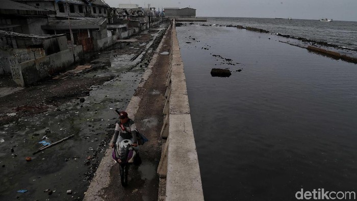 Tanggul laut Muara Baru, Jakarta Utara, mengalami kerusakan di sana-sini. Beberapa hari lalu, 100 meter tanggul tersebut jebol. Air laut juga merembes ke pemukiman warga.