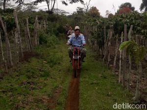 2 Orang di Sumsel Tewas Diterkam Harimau, Warga Diimbau Pakai Topeng ke Hutan