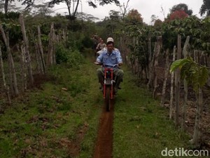 2 Orang di Sumsel Tewas Diterkam Harimau, Warga Diimbau Pakai Topeng ke Hutan