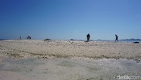 Warna pasir pantai di Taka Makassar unik, ada yang berwarna putih dan sebagian berwarna pink, tidak sebanyak di Pink Beach. Pasirnya ada yang halus tapi banyak karang mati di bagian atasnya (Foto: Ahmad Masaul Khoiri/detikcom)