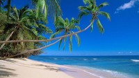 Fiji adalah negara di Pasifik Selatan. Karena pandemi, Fiji harus kehilangan 99 persen turis. (Thinkstock)