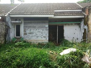 Induk Kobra di Perumahan Citayam Bogor Belum Ditemukan, Warga Ketar-ketir