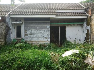 Induk Kobra di Perumahan Citayam Bogor Belum Ditemukan, Warga Ketar-ketir
