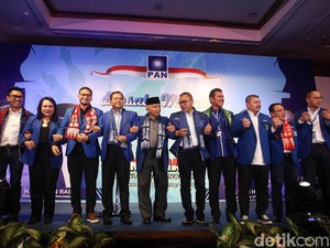 Sultra hingga Papua Dilirik Jadi Lokasi Kongres Pemilihan Ketum PAN