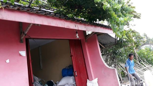 Kisah Perjuangan Mantan Guru Dirikan Kampung Anggur di Bantul