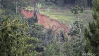 Menurut Sobana, warga di Desa Cilangari juga rawan kekurangan pangan akibat sawah yang gagal dipanen. 