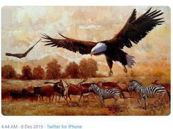 Reaksi Netizen Saat Juventus Keok dan Manchester Is Red