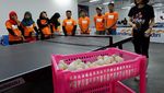 Serunya Coaching Clinic Bersama Mantan Atlet Tenis Meja
