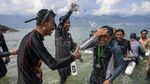 Intip Keseruan Renang Lintas Teluk Palu