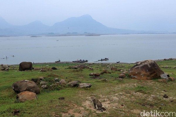 Waduk Jatiluhur berada di Purwakarta, Jawa Barat. Bila ingin ke sini bisa melalui Jalan Tol Purbaleunyi (Purwakarta-Bandung-Cileunyi), keluar di Gerbang Tol Jatiluhur. (Johanes Randy) Waduk Jatiluhur berada di Purwakarta, Jawa Barat. Bila ingin ke sini bisa melalui Jalan Tol Purbaleunyi (Purwakarta-Bandung-Cileunyi), keluar di Gerbang Tol Jatiluhur. (Johanes Randy)