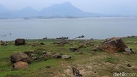Kontras dengan suasana waduk di musim kemarau yang cenderung kering dan kuning, Waduk Jatiluhur di musim hujan lebih didominasi warna hijau serta kabut dan hujan rintik-rintik yang begitu syahdu (Randy/detikcom)