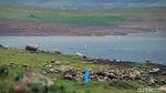 Foto: Waduk Jatiluhur Rasa Skotlandia