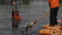Sedikit demi sedikit sampah-sampah mulai diangkut.