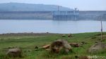 Foto: Waduk Jatiluhur Rasa Skotlandia