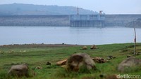 Indonesia punya banyak destinasi yang mirip dan tak kalah dengan di luar negeri. Contohnya seperti Waduk Jatiluhur di Purwakarta. Ala-ala Skotlandia (Randy/detikcom)