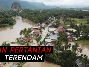Hamparan Banjir di Sumatera Barat Rendam Ratusan Rumah