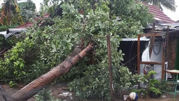Angin Kencang di Sleman, Pohon Tumbang Timpa Rumah dan Mobil