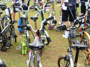 Demam Brompton Pudar, Harga Berdarah-darah