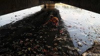 Memasuki musim hujan jumlah tumpukan sampah di sungai menjadi lebih banyak.
