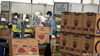 Sejumlah pekerja sedang melakukan pengepakan salah satu produk di pabrik baru milik PT Softex Indonesia yang berada di kawasan Karawang, Jawa Barat, Senin (9/12/2019).