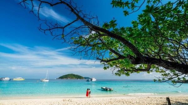 Kembali ke Thailand, ada Koh Samui yang berhasil masuk ke peringkat tujuh pulau terbaik di Asia (iStock)