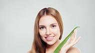 8 Manfaat Lidah Buaya untuk Rambut Lebih Sehat