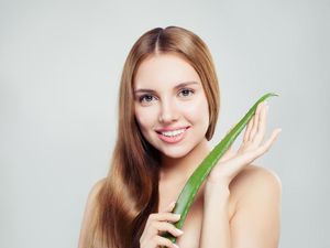 10 Tanaman Apotek Hidup dan Manfaatnya, Cocok Buat Berkebun di Rumah