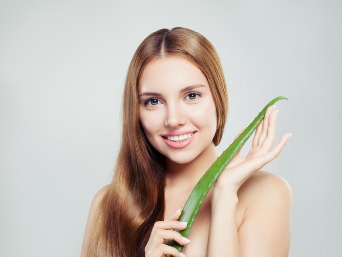 Aloe vera atau lidah buaya Aloe vera atau lidah buaya