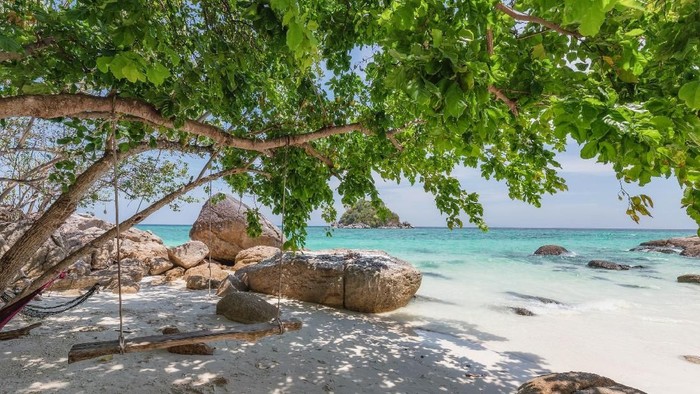 Romantic scene of young love couple take a photo with relaxing and happiness on the beach in Similan islands in Andaman sea at phang nga near Krabi and Phuket in southern of Thailand.