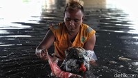 Bahkan sampah bisa mencapai 10 truk pengangkut setiap hari.