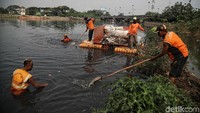 Petugas terus menyisir sungai untuk mengumpulkan sampah.