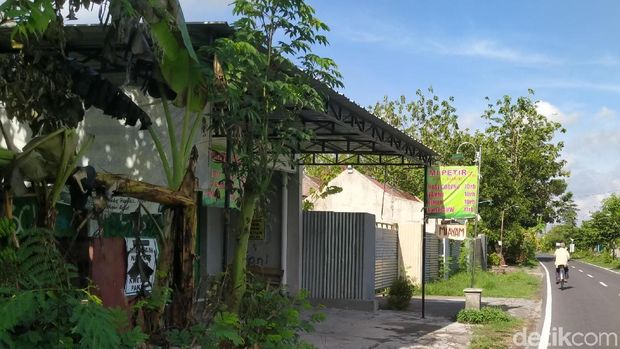 Heboh King Cobra Teror Warung Mi Ayam di Klaten