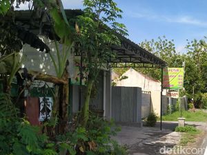 Diteror King Cobra, Warung Mi Ayam di Klaten Ini Ditutup Sementara