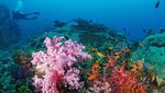 Foto: Pulau Rahasia di Thailand