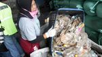 Melihat Proses Daur Ulang Botol Plastik Air Kemasan