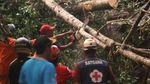 Dampak Kerusakan Angin Kencang yang Terjang Kediri Hingga Bangkalan