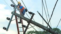 Selain di Kediri, angin kencang juga menerjang kawasan Bangkalan, Jawa Timur. Petugas PLN sedang memeriksa tiang listrik yang roboh di Akses Suramadu sisi Madura Jalan Raya Tangkel pada Senin (9/12) lalu. Hujan lebat yang disertai angin puting beliung itu merusak sejumlah bangunan, beberapa pohon dan tiang listrik roboh serta menyebabkan dua mobil rusak tertimpa pohon dan beberapa orang mengalami luka ringan. Antara Foto/Fifin.