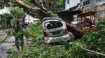 Dampak Kerusakan Angin Kencang yang Terjang Kediri Hingga Bangkalan