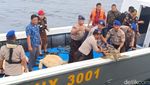 23 Penyu Hijau Hasil Penyelundupan Disita Polisi